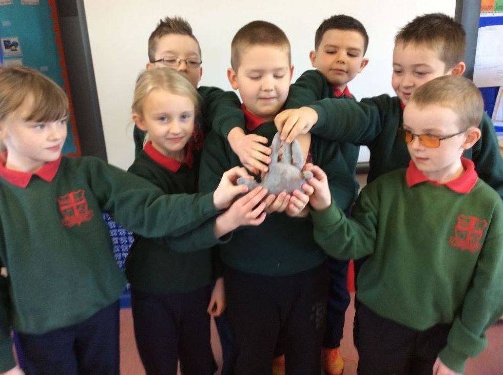 Ice Egg Experiment- P3/P4