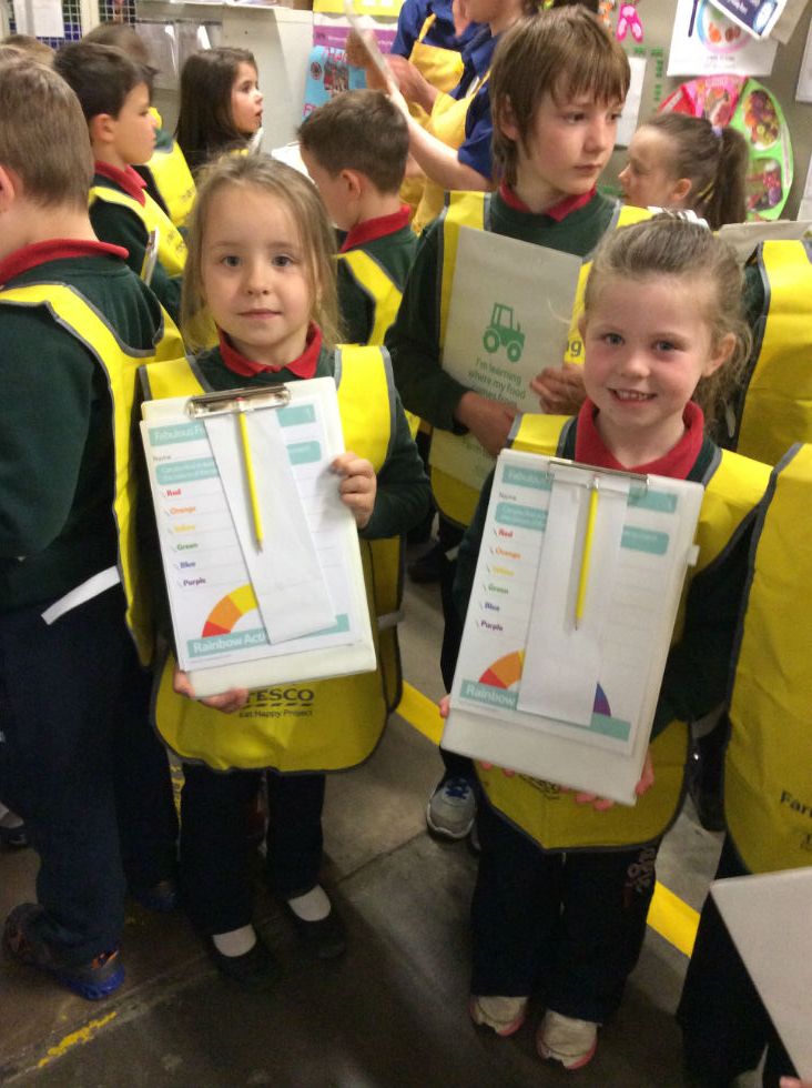 Tesco:Eat Happy Project (P1-P4) 