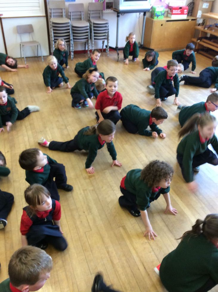 Lights, Camera, Confidence